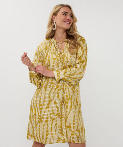 Golden zebra Dress