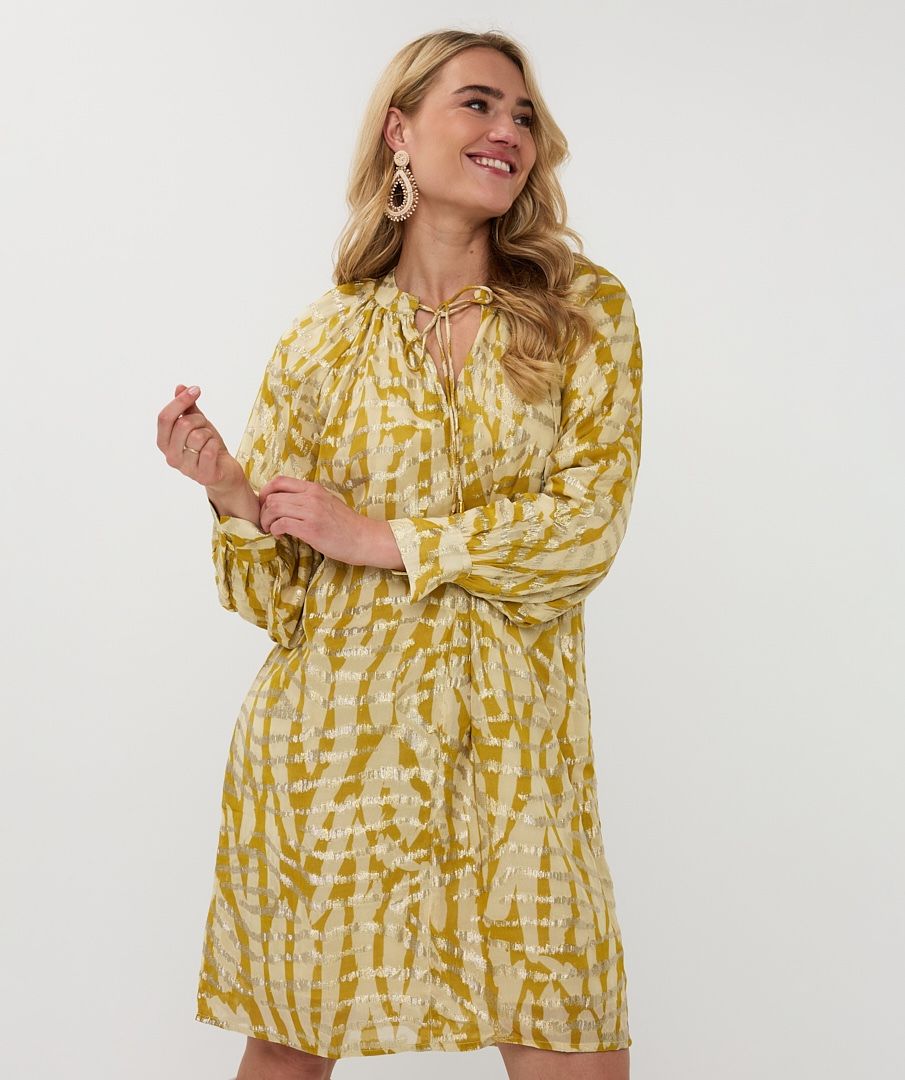 Golden zebra Dress