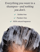 Load image into Gallery viewer, Nutrfol - Root Purifier Scalp Microbiome Shampoo
