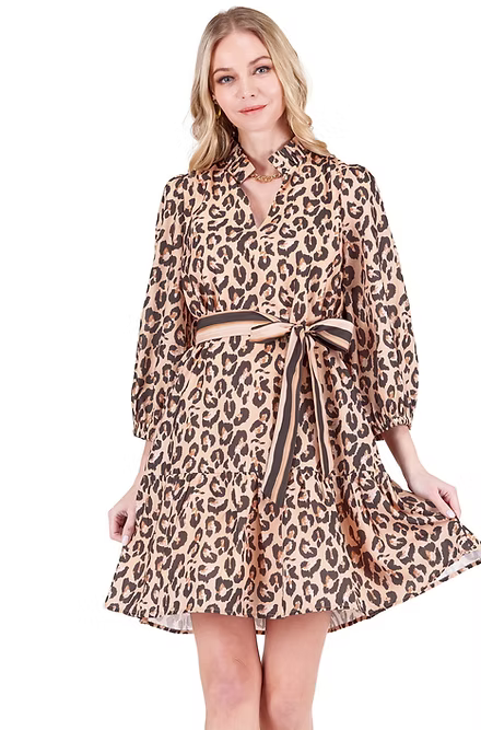 Brown Leopard Dress
