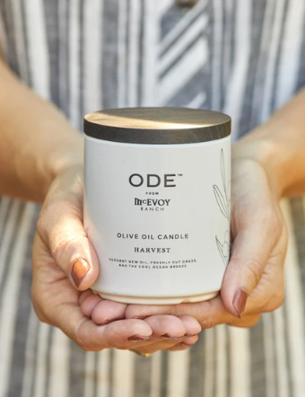 Olive Oil Candle Harvest